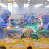 Transformation de produits de la mer destinés à l'exportation à An Giang. Photo : VNA 