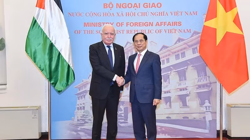 Le vice-Premier ministre Bui Thanh Son (droite) reçoit l'envoyé spécial du président palestinien Riad Malki. Photo: VNA