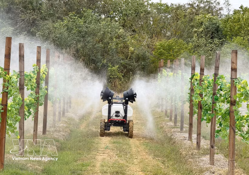 Modèle d’agriculture de haute technologie dans la province du Guangdong (Chine). Photo: VNA