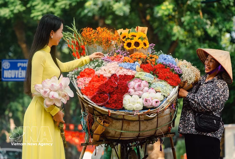 Les charrettes de fleurs ambulantes sont l’une des belles particularités de l’automne hanoïen. Photo: VNA