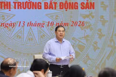 Le vice-Premier ministre permanent Pham Gia Tuc, chef du Comité directeur central pour la politique du logement et le marché immobilier, s’exprime lors de la réunion. Photo : VNA