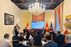 Le prof.-Dr Trân Tuân Anh, vice-président de l’Académie des sciences et des technologies du Vietnam (VAST), s’exprime lors d’un événement en Autriche. Photo : VNA