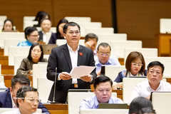 Le député Duong Khac Mai, de la province de Lâm Dông, intervenant lors du débat à l’Assemblée nationale, à Hanoi, le 22 août. Photo : VNA