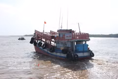 Les navires de pêche à Ca Mau doivent déclarer leurs opérations via le système de traçabilité électronique (eCDT) dans les ports de pêche officiellement désignés. Photo : VNA