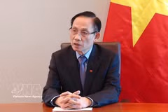 Le ministre des Affaires étrangères, Lê Hoài Trung. Photo: VNA