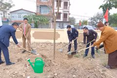 Plantation d'arbres au début du printemps dans la commune de Soc Son, à Hanoi. Photo : hanoimoi.vn