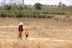 Une grand-mère et son petit-enfant, membres de l'ethnie Rai de la commune de Hàm Cân, ancienne province de Binh Thuân, vont acheter de l'eau sous la chaleur de midi, en 2024. Photo : VNA