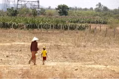 Une grand-mère et son petit-enfant, membres de l'ethnie Rai de la commune de Hàm Cân, ancienne province de Binh Thuân, vont acheter de l'eau sous la chaleur de midi, en 2024. Photo : VNA