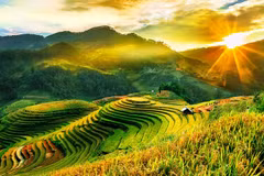 Mu Cang Chai. Photos: Internet