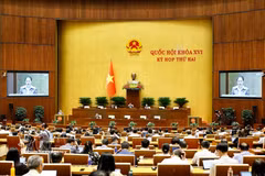 La ministre de la Culture, des Sports et du Tourisme, Lâm Thi Phuong Thanh, mandatée par le Premier ministre, présente la proposition relative au projet de loi sur le développement des industries culturelles. Photo: VNA