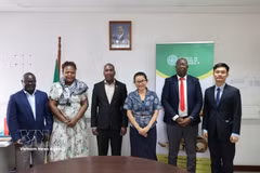 L’ambassadrice Trân Thi Thu Thin et la délégation de l’ambassade du Vietnam au Mozambique posent pour une photo souvenir avec le directeur Jorge Vidigal Fole et des responsables clés de l’Institut mozambicain de la noix de cajou. Photo: VNA
