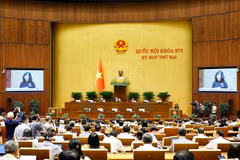 Par procuration du Premier ministre, la ministre de la Santé, Dào Hông Lan présente les propositions relatives à trois projets de loi. Photo : VNA