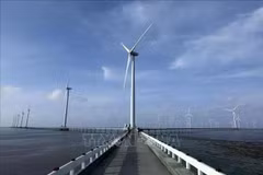 La centrale éolienne de Bac Liêu. Photo : VNA
