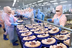 Transformation de crevettes pour l'exportation vers les marchés américain et japonais du groupe Minh Phu. Photo : VNA
