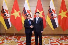 Le président de la République, Luong Cuong (à droite), accueille le sultan de Brunei, Haji Hassanal Bolkiah. Photo : VNA