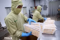 Crevettes conditionnées pour l’exportation vers le Japon. Photo : VNA
