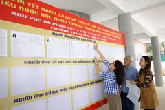 Des électeurs de la province de Hà Tinh consultent la liste des candidats aux élections législatives de la 16e législature et les élections des Conseils populaires de différents échelons pour le mandat 2026-2031. Photo : VNA