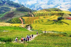 Dans le nord-ouest du Vietnam, Lào Cai dévoile ses rizières en gradins, sculptées avec art par les ethnies H’mông et Dao rouges. Photo: ST