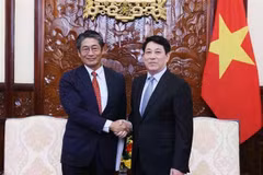 Le président Luong Cuong (à droite) serre la main de l’ambassadeur du Japon au Vietnam, Ito Naoki, à Hanoi, le 6 juin. Photo : VNA