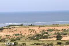 Le site choisi pour la construction de la centrale nucléaire de Ninh Thuân 1, dans la commune de Phuoc Dinh. Photo : VNA