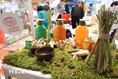 Produits de shampoing bio de l’entreprise vietnamienne Co Cay Hoa La présentés au salon Biofach 2025. Photo : VNA