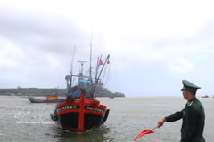 Quang Ngai renforce la lutte contre la pêche INN en vue du retrait de l’avertissement de "carton jaune" sur les exportations de produits aquatiques vietnamiens. Photo: VNA