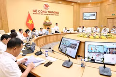 Vue de la séance de travail, à Hanoi, le 7 mai. Photo : VNA