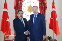 Le président de l’Assemblée nationale du Vietnam, Trân Thanh Mân (à gauche), et le président turc Recep Tayyip Erdoğan se serrent la main, à Istanbul, le 16 avril. Photo : VNA 