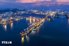 Vue du port général et à conteneurs de Hoa Phat Dung Quât, situé dans la zone économique de Dung Quât, province de Quang Ngai. Photo : VNA