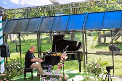 Le pianiste et compositeur britannique Rick Wakeman CBE donne un concert exceptionnel pour des ours rescapés au Centre de sauvetage des ours du Vietnam, dans le parc national de Tam Dao, le 24 septembre. Photo : qdnd.vn