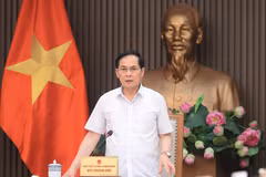 Le vice-Premier ministre et ministre des Affaires étrangères, Bui Thanh Son, s’exprime lors de la réunion. Photo : VNA