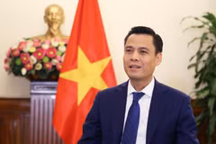Le vice-ministre des Affaires étrangères, Dang Hoàng Giang. Photo : ministère des Affaires étrangères