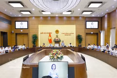 La vice-présidente de l'Assemblée nationale, Nguyên Thi Thanh, s’exprime devant le Comité permanent de l’Assemblée nationale. Photo : VNA