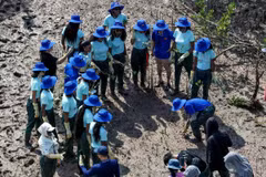 Un guide présente aux candidates à Miss Monde 2026 un aperçu de l'écosystème local ainsi que du rôle des forêts dans le paysage côtier et dans la vie de la flore et de la faune. Photo : VnExpress