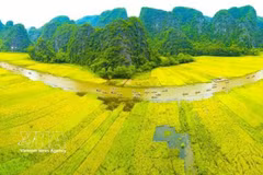 Escapade à Tam Côc-Bich Dông, la baie de Ha Long terrestre. Photo: VNA