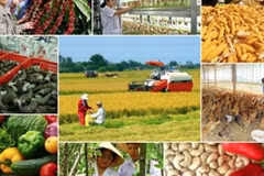 Photo d'illustration: iasvn.org