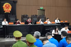 Vue du procès de l’affaire "Mr Pips" devant le Tribunal populaire de Hanoi. Photo: VNA