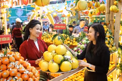 Le secteur agricole devrait enregistrer une croissance d’au moins 4 % en 2026, tandis que les exportations de produits agricoles devraient franchir la barre des 74 milliards de dollars. Photo : VNA