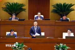 Le vice-Premier ministre Lê Thành Long s’exprime lors de la 10e session de la 15e Assemblée nationale. Photo : VNA