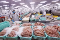 Les filets congelés sont restés le pilier des exportations vietnamiennes de pangasius. Photo: VNA