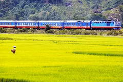 L'Express de la Réunification emmène les passagers à travers les grandes villes et la campagne paisibles Photo: Lonely Planet