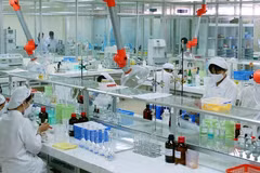 Le programme de développement de l’industrie de la chimie pharmaceutique s’efforce de couvrir environ 20% des besoins nationaux en matières premières pharmaceutiques d'ici 2030. Photo: baochinhphu.vn