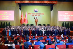 Séance de clôture du 14e Congrès national du Parti communiste du Vietnam. Photo: VNA