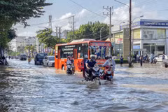 La rue Cach Mang Thang Tam, dans le quartier Cai Khê, ville de Cân Tho sont submergés par les eaux lors des grandes marées, le 11 septembre 2025. Photo : VNA