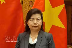 Le président de l’Assemblée nationale du Vietnam, Trân Thanh Mân. Photo : VNA