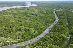 La mangrove de Cân Gio, un écosystème crucial de "puits de carbone", contribue à la génération de crédits carbone pour le fonctionnement du marché du carbone vietnamien. Phto: VNA