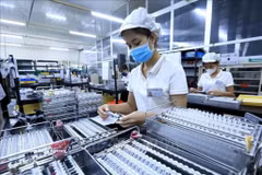 D’ici à 2030, le Vietnam ambitionne de figurer parmi les pays les plus performants de l’ASEAN en matière d’environnement des affaires. Photo: VNA
