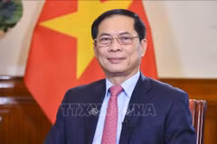 Le vice-Premier ministre et ministre des Affaires étrangères Bui Thanh Son. Photo : VNA
