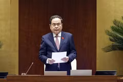 Le président de l’Assemblée nationale, Trân Thanh Mân, prend la parole lors de la séance. Photo : VNA