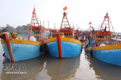 Des bateaux de pêche mouillent au port de pêche de Vàm Lang, commune de Gia Thuân, province de Dông Thap (Sud). Photo : VNA